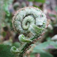 Renee Waggoner Photo 9