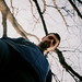 Robbin Simon Photo 8