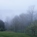 Dawn Willis Photo 12