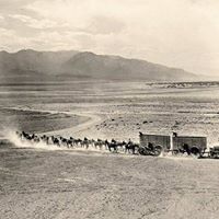 Steven Miner Photo 21