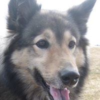 Kevin Horan Photo 36