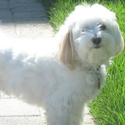 Beverly Higgins Photo 20