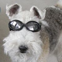 Phillip Jennings Photo 10