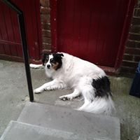 Annette Ingram Photo 17