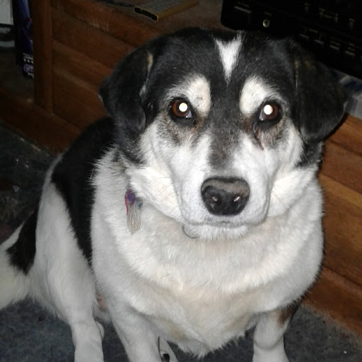 Stefanie Reed Photo 11