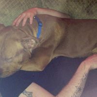 Robby Bradshaw Photo 10