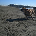 Eloise Olds Photo 5