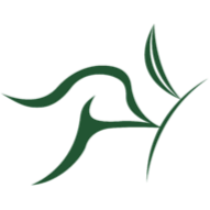 Timothy Morrow Photo 19