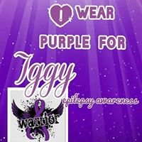 Jodie Nguyen Photo 10