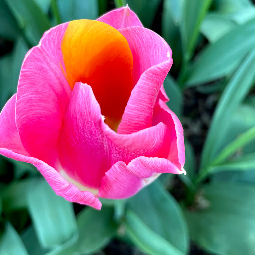 Kathy Dickson Photo 34