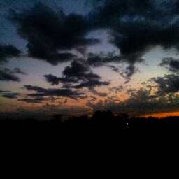 David Younger Photo 33