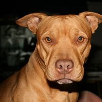 Ruth Harvey Photo 20