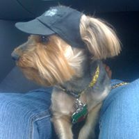 Nancy Hammons Photo 8