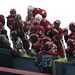 Joseph Lombardi Photo 14