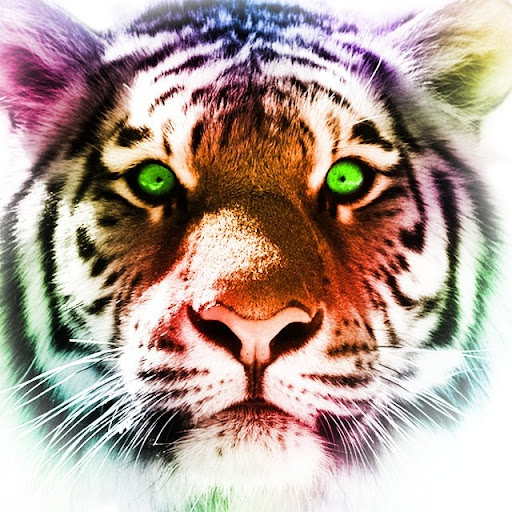 Julia Miner Photo 12