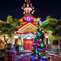 Dawn Stewart Photo 20