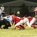 Paula Stout Photo 40