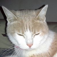 Terri Murphy Photo 18