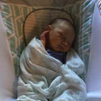 Thomas Julian Photo 35 Thomas Julian Photo 35