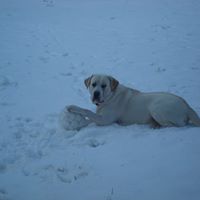 Alberto Matos Photo 36