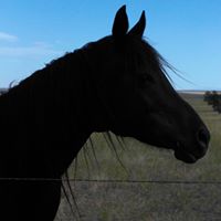 Kerri Turner Photo 20