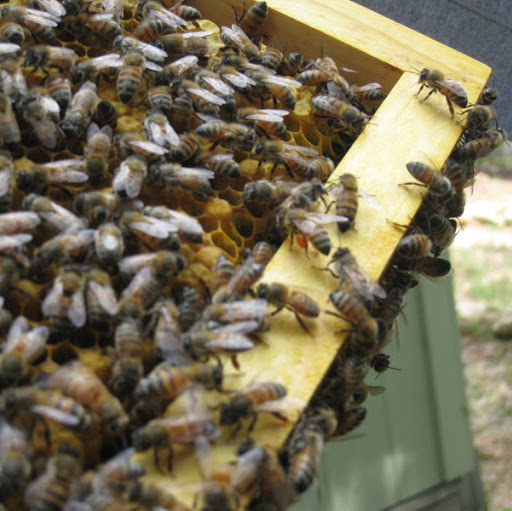 Christina Beck Photo 36 Christina Beck Photo 36