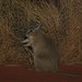 Karen Hare Photo 25