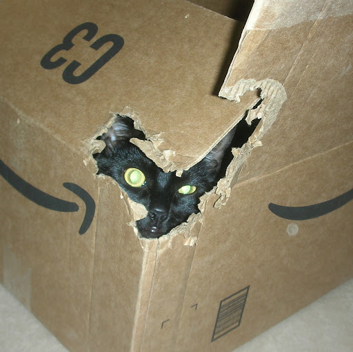 Jeffrey Briggs Photo 24