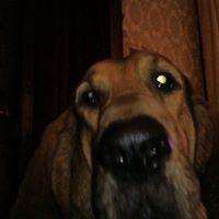 Jason Lehman Photo 39