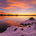 Dawn Collins Photo 5