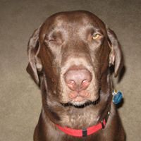 Nancy Wyllie Photo 9