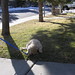 Regina Dudley Photo 14