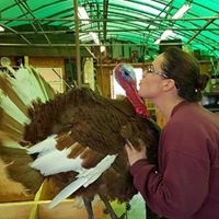 Michele Collins Photo 12