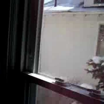 Jeffrey Rohrs Photo 16