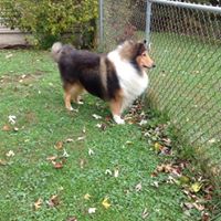 Susan Hurley Photo 33