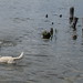 Angel Peeples Photo 14