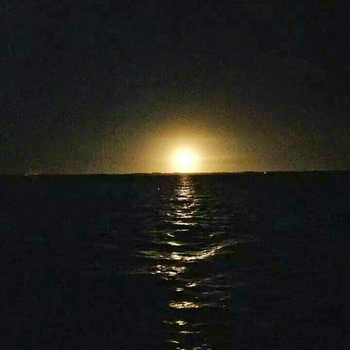 Dave Langston Photo 26