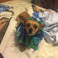 Julie Monroe Photo 20 Julie Monroe Photo 20