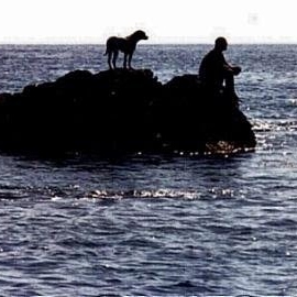 Patrick Trimble Photo 29