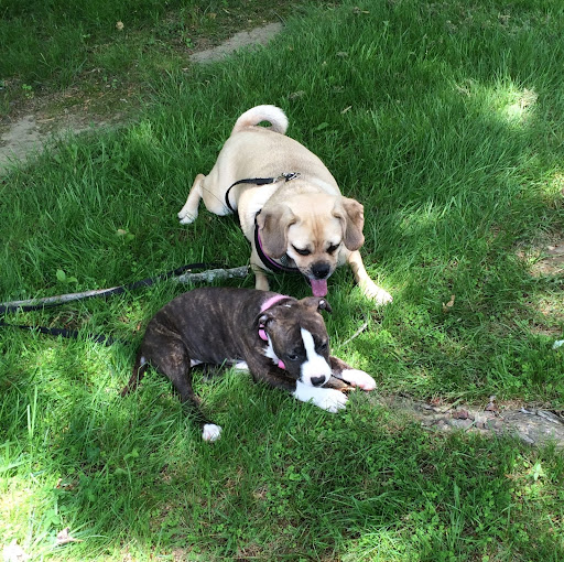 Alexandra Williams Photo 22