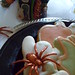 Sandra Garth Photo 9