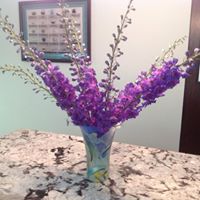 Shirley Sharpe Photo 21