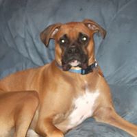 Jeremy Peck Photo 25