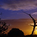 Dawn Abbott Photo 12