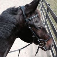 Susan Hoffman Photo 22 Susan Hoffman Photo 22