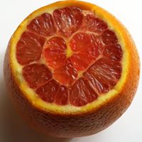 Therese Vincent Photo 10