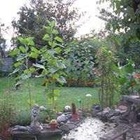 Joseph Krieger Photo 6