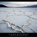 Mitchell Stark Photo 8