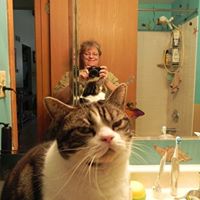 Judy Mchugh Photo 14