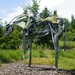 Deborah Frederick Photo 22